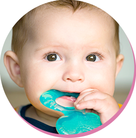 Camilia soulage les symptômes liés aux poussées dentaires de bébé